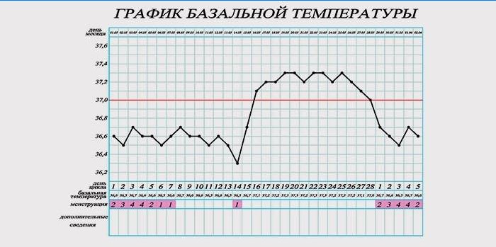 Podstawowa tabela temperatur do określania ciąży