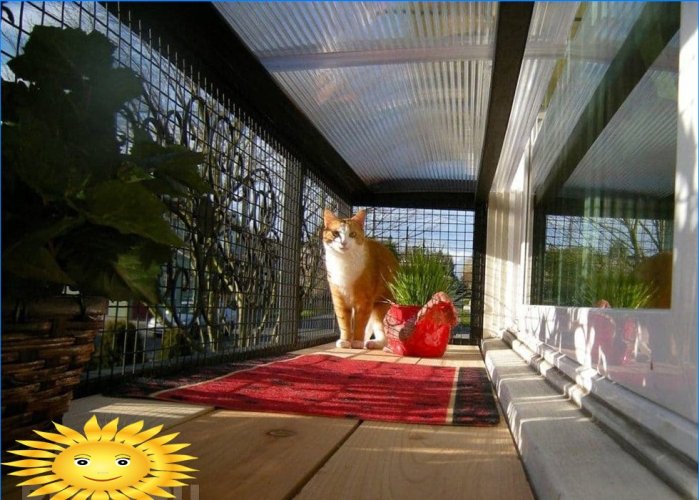 Catio lub cat-patio - miejsce na spacery ze zwierzakami