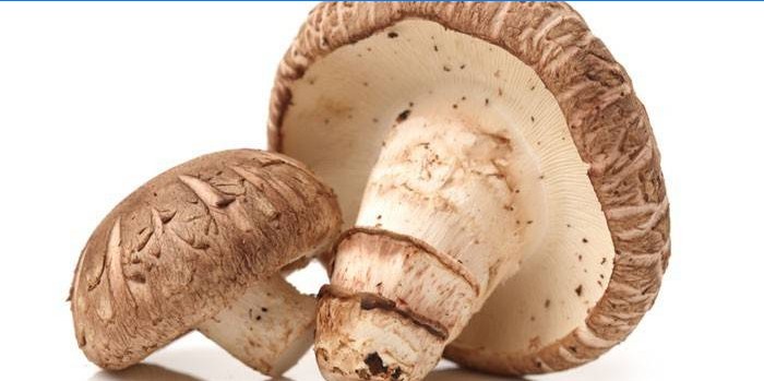 Surowy grzyb Shiitake