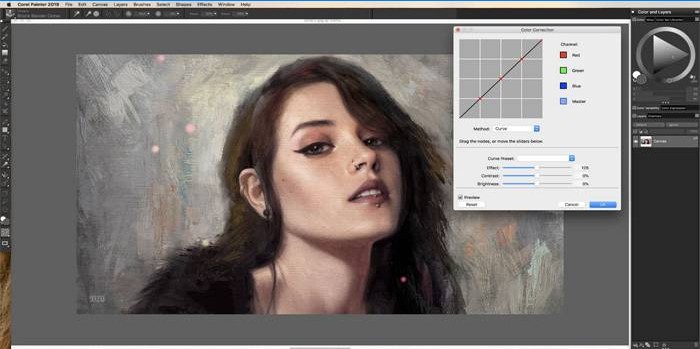 Corel Painter