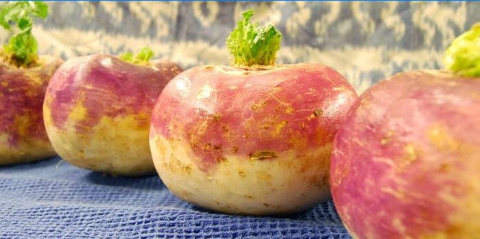 Młoda rutabaga