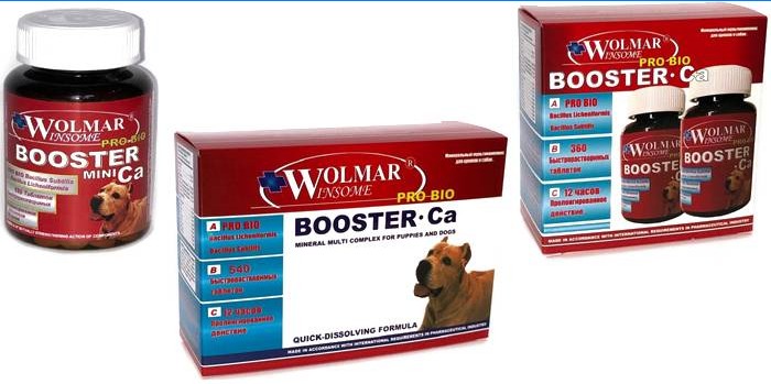 Booster Ca autorstwa Wolmar