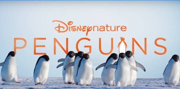 Disneynature Penguins