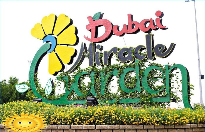 Architektura krajobrazu: Wycieczka fotograficzna do oszałamiającego Miracle Garden w Dubaju