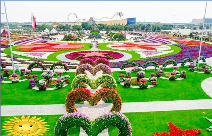 Architektura krajobrazu: Wycieczka fotograficzna do oszałamiającego Miracle Garden w Dubaju