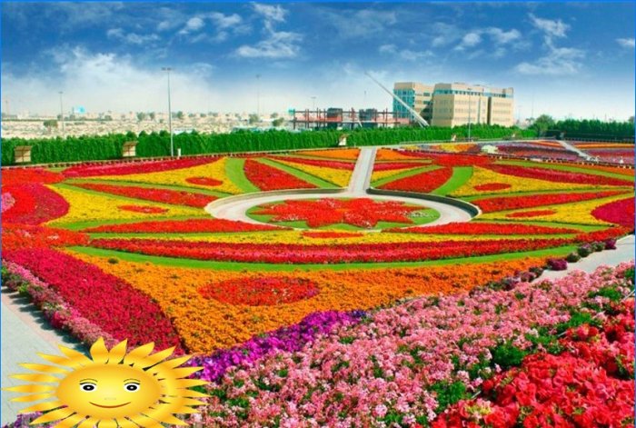 Architektura krajobrazu: Wycieczka fotograficzna do oszałamiającego Miracle Garden w Dubaju