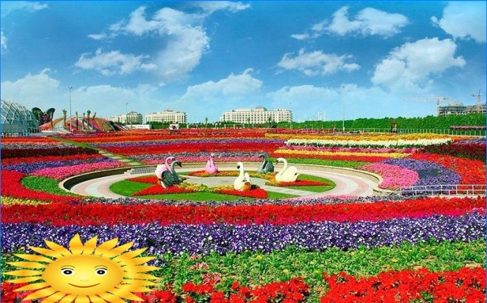 Architektura krajobrazu: Wycieczka fotograficzna do oszałamiającego Miracle Garden w Dubaju