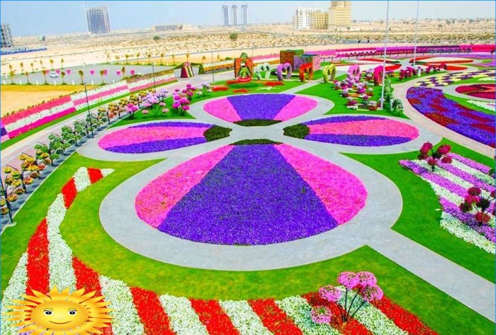 Architektura krajobrazu: Wycieczka fotograficzna do oszałamiającego Miracle Garden w Dubaju