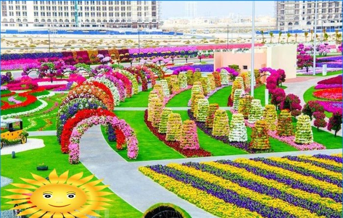 Architektura krajobrazu: Wycieczka fotograficzna do oszałamiającego Miracle Garden w Dubaju