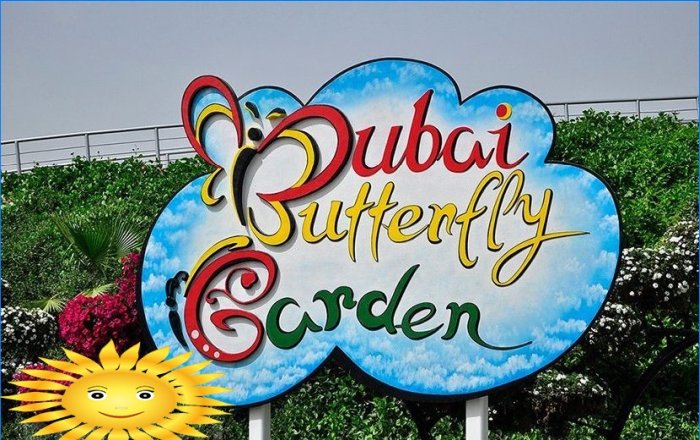 Architektura krajobrazu: Wycieczka fotograficzna do oszałamiającego Miracle Garden w Dubaju