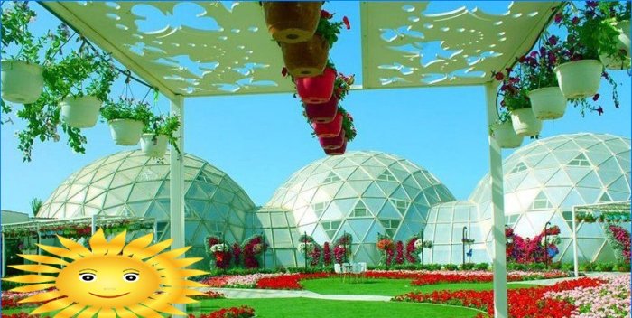 Architektura krajobrazu: Wycieczka fotograficzna do oszałamiającego Miracle Garden w Dubaju