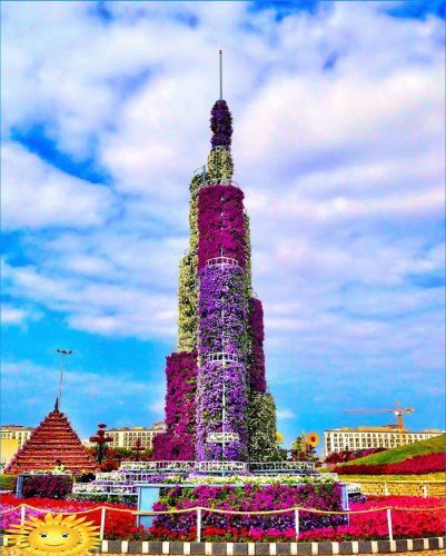 Architektura krajobrazu: Wycieczka fotograficzna do oszałamiającego Miracle Garden w Dubaju