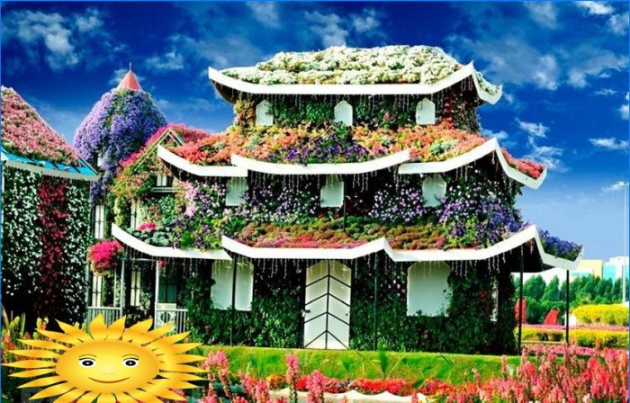 Architektura krajobrazu: Wycieczka fotograficzna do oszałamiającego Miracle Garden w Dubaju