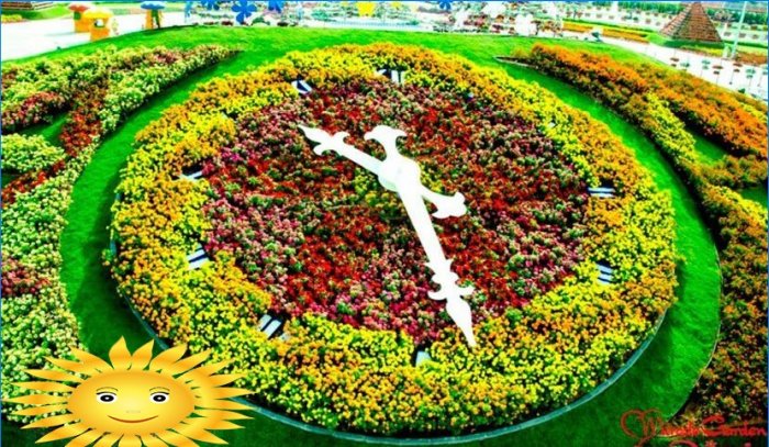 Architektura krajobrazu: Wycieczka fotograficzna do oszałamiającego Miracle Garden w Dubaju