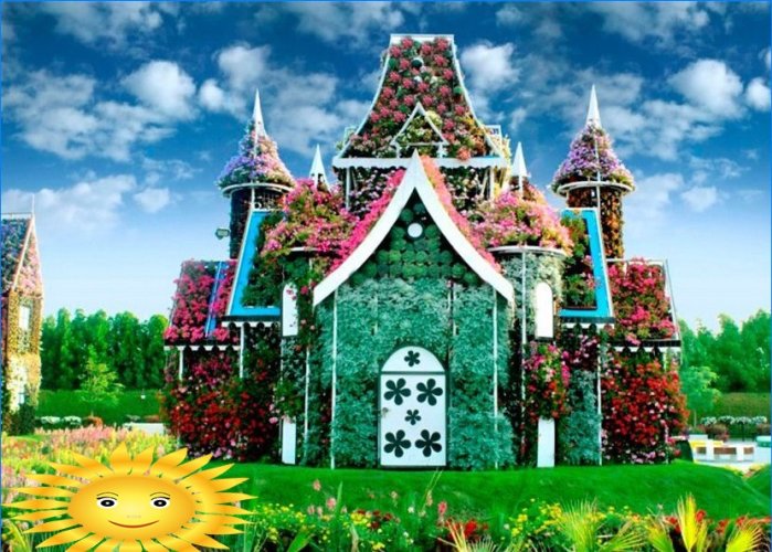 Architektura krajobrazu: Wycieczka fotograficzna do oszałamiającego Miracle Garden w Dubaju