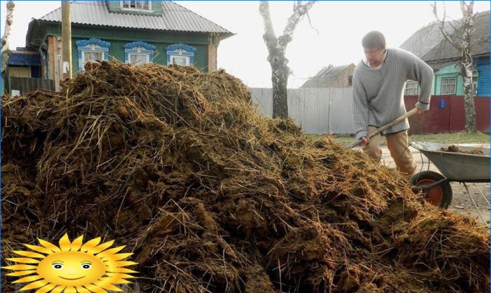 Brykiety paliwowe z obornika: produkcja, zalety, wady