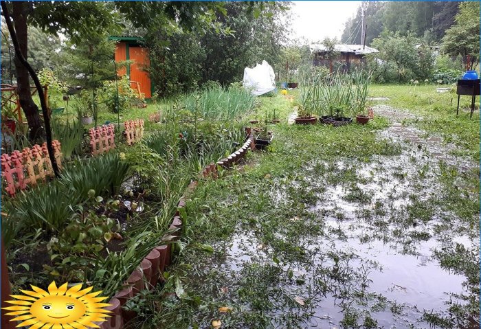 Funkcje witryny, które zwiększają koszt ulepszeń