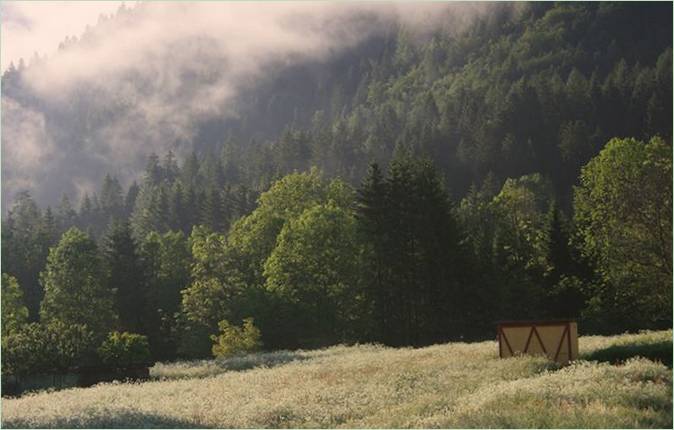 Alpejskie widoki i nietypowe rozwiązanie dla ula