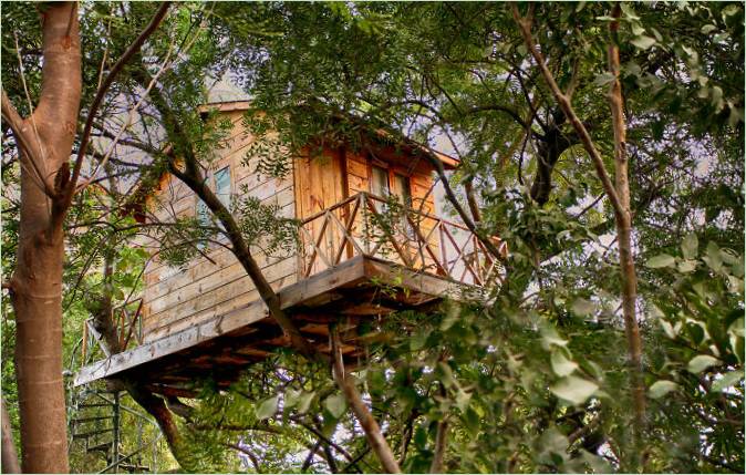 Treehouse