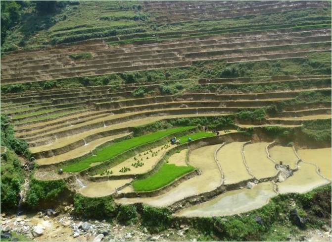 Hong Han Rice Terraces, Chiny - zdjęcie 1