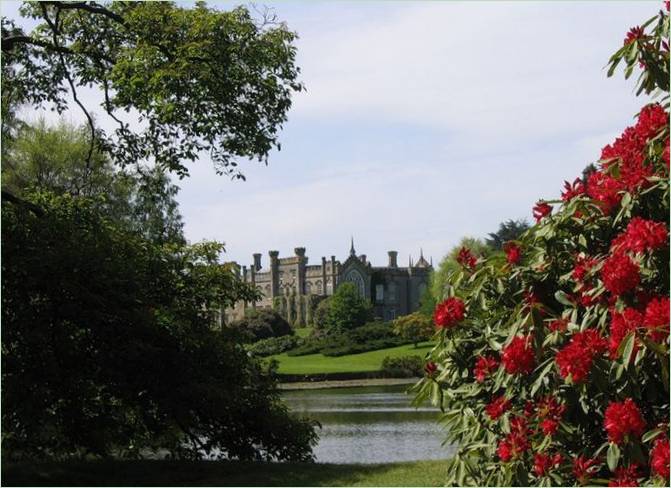 Classic Sheffield Park, Anglia