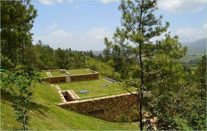 Trawa na dachu ekologicznego domu Green House na Dominikanie