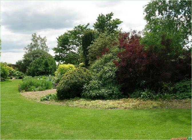 The Denmans Lane Gardens of England