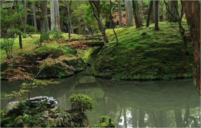 Ogród mchu w Saiho-ji w Kioto