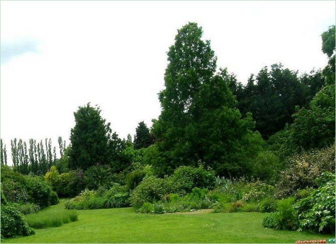 Ogród angielski Denmans Lane Gardens