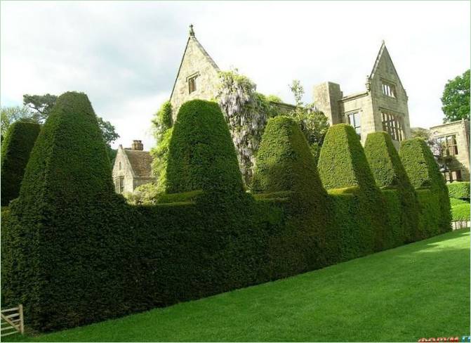 Ogród angielski Denmans Lane Gardens