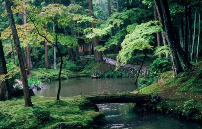 Ogród mchu Saiho-ji w Kioto