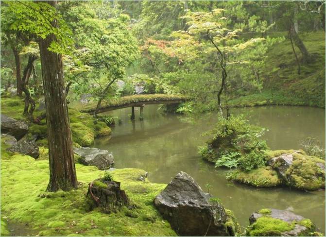 Ogród mchu w Saiho-ji w Kioto