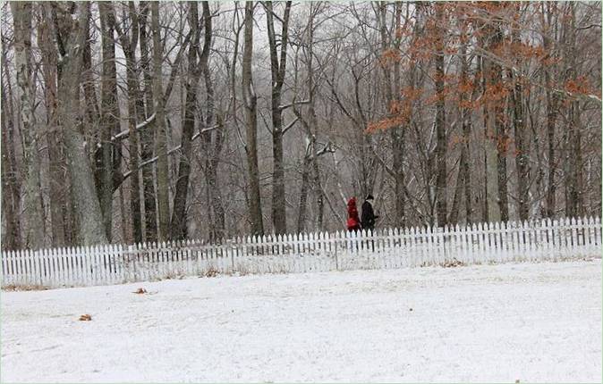 Mirror fence by Alyson Shotz